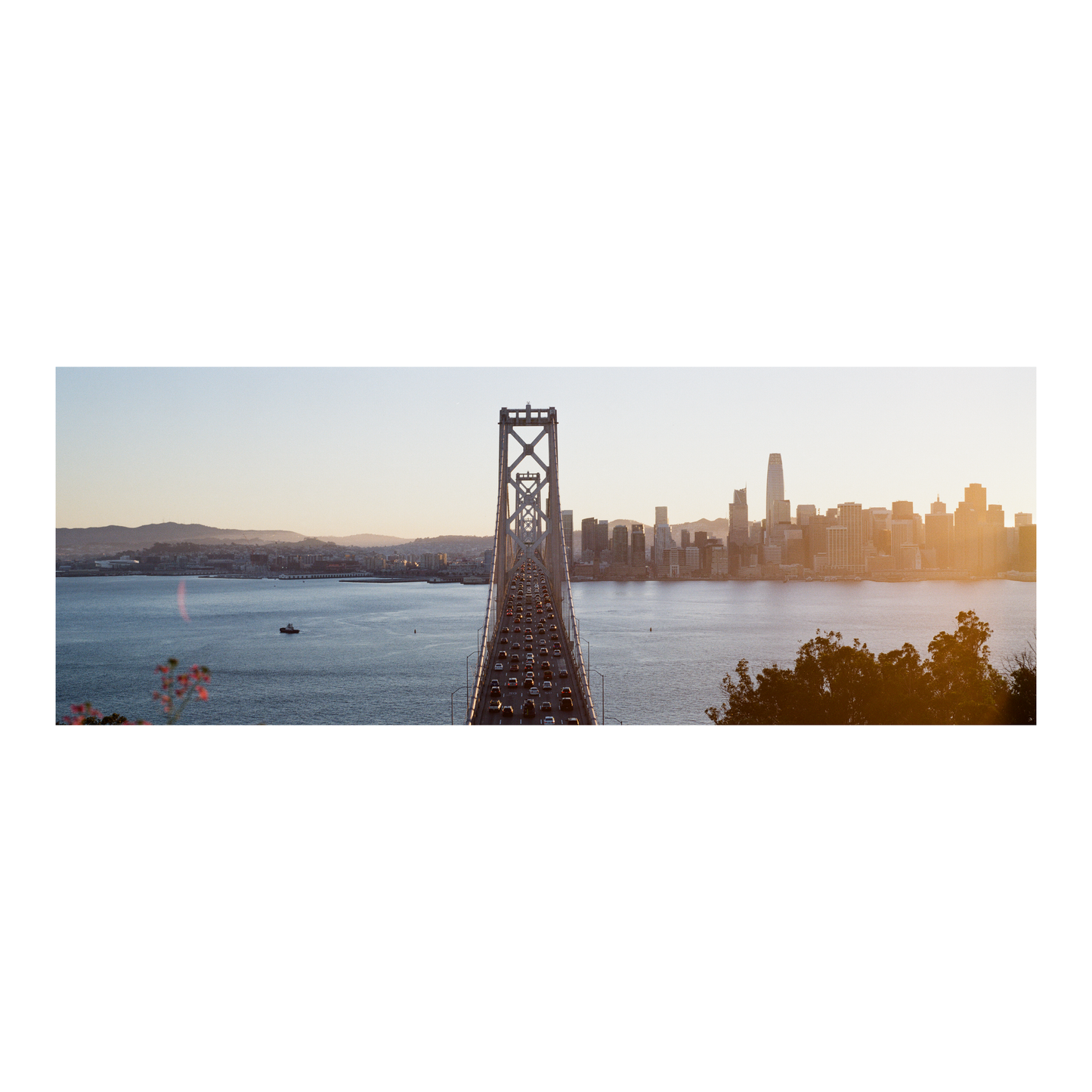 Bay Bridge From The Island