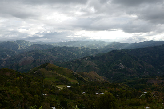 COLOMBIA RECOLECTORES