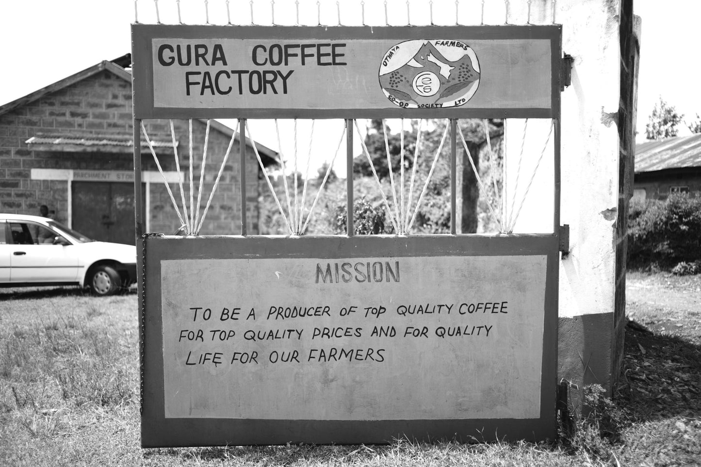 KENYA GURA PEABERRY